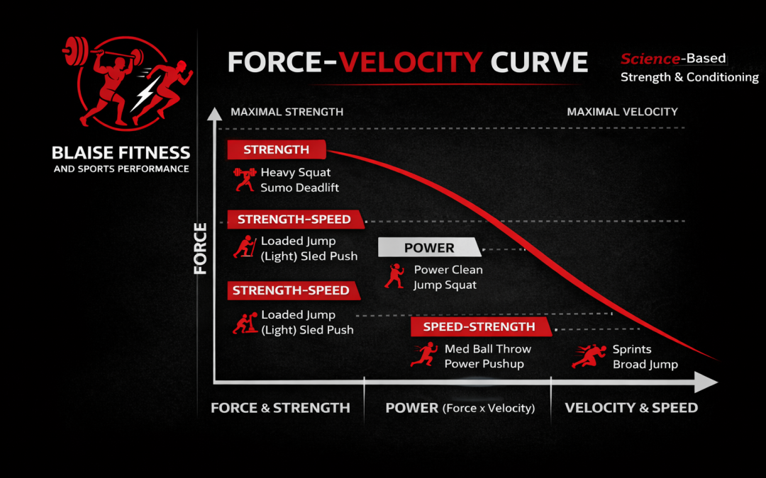 Force Velocity Curve Cont-
